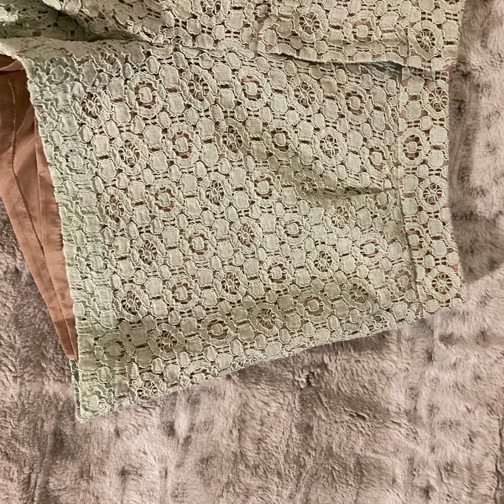 : : VICTORIA BECKHAM for Target Pale Mint Green Lace Shorts with Tan Lining : : - Picture 7 of 11